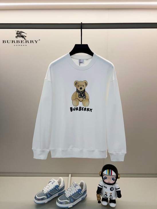Picture of Burberry Sweatshirt _SKUBurberryXS-L24cr22931081
